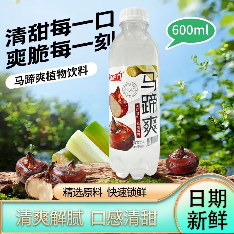 益鲜力600ml*15瓶马蹄爽清热解渴甘甜夏季清凉降火饮料