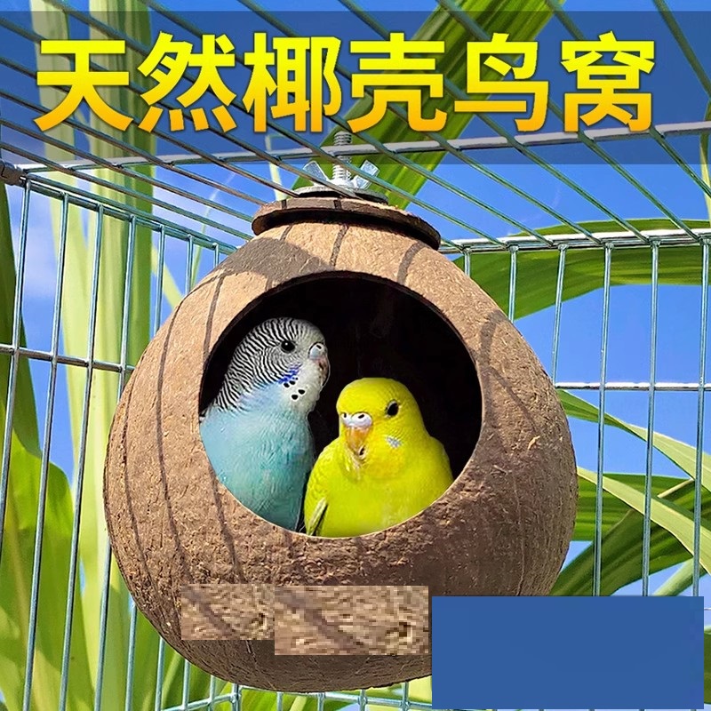 椰子殼鳥窩虎皮牡丹玄風文鳥