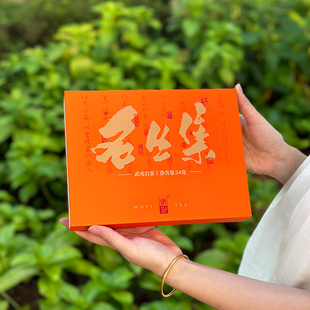 武夷名丛录岩茶 福建大红袍茶叶正岩名枞集雀舌奇丹奇兰送礼盒装