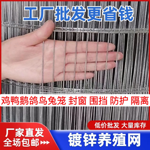 镀锌铁丝网长孔养殖网鸟笼网围网