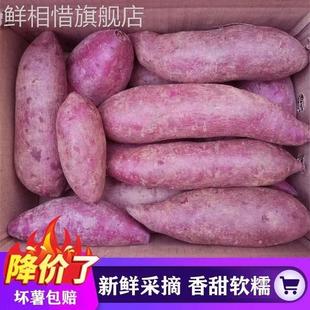 沙地紫薯番薯新鲜地瓜山芋农家香薯果蔬大蕃薯蜜薯9斤蔬菜