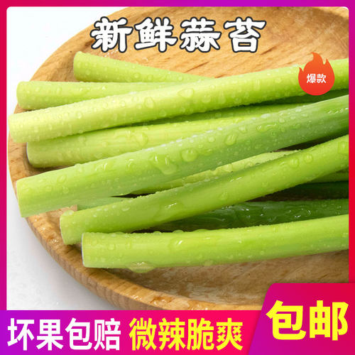 新鲜蒜苔2斤当季蔬菜农家自种薹