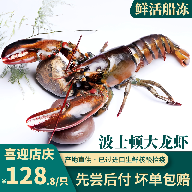 波士顿龙虾冷冻鲜冻特大波龙澳龙加拿大进口海鲜海产【新店促销】