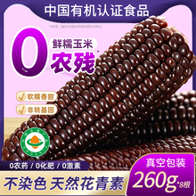 有机紫黑玉米糯米新鲜甜糯玉米棒粘黏真空装包装袋官方旗舰店