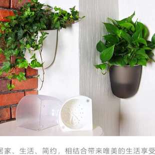懒人自动吸水绿萝挂墙壁挂塑料盆 直角转角墙角转弯立体创意花盆