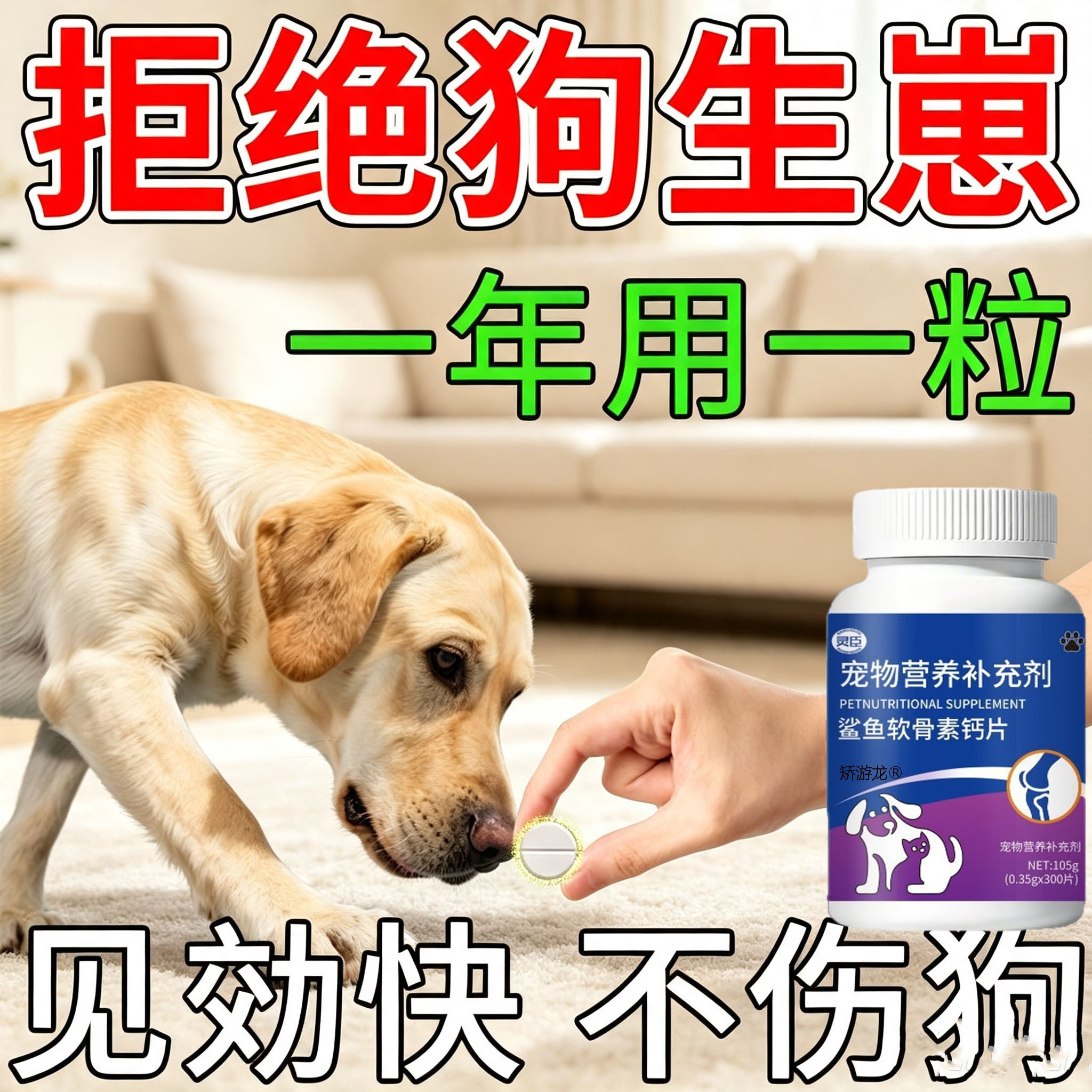 狗狗永久绝育】公母通用永久绝育