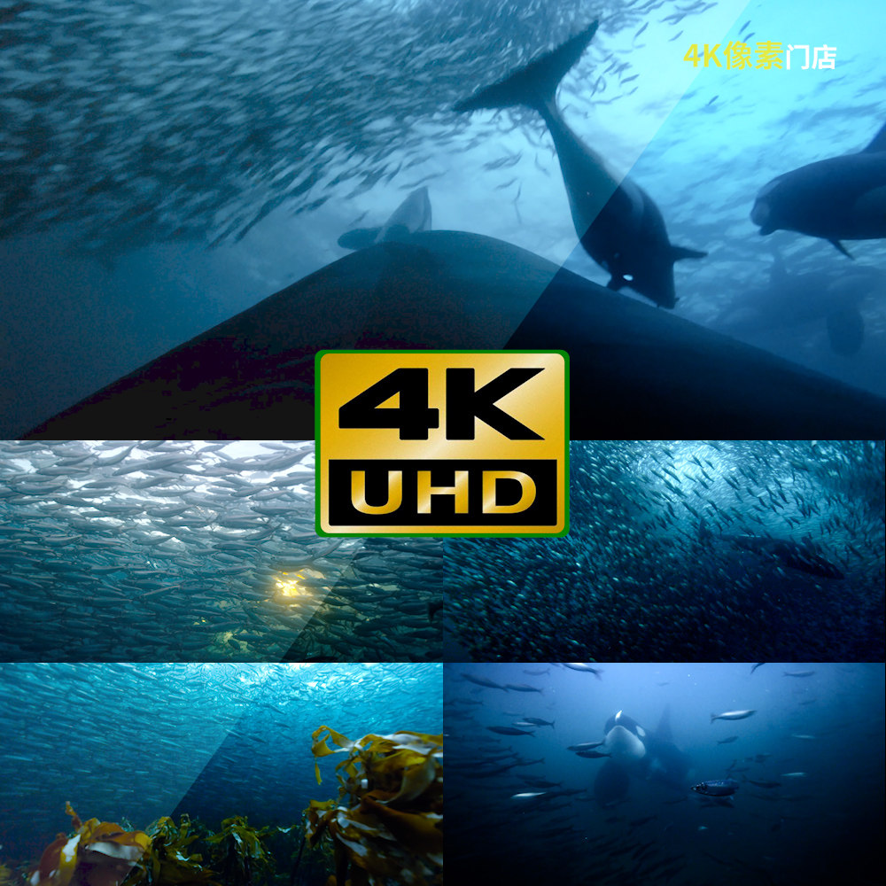 413-4k视频素材-鱼群天空美景日出夕阳风光寒冷温度南极日出夕阳