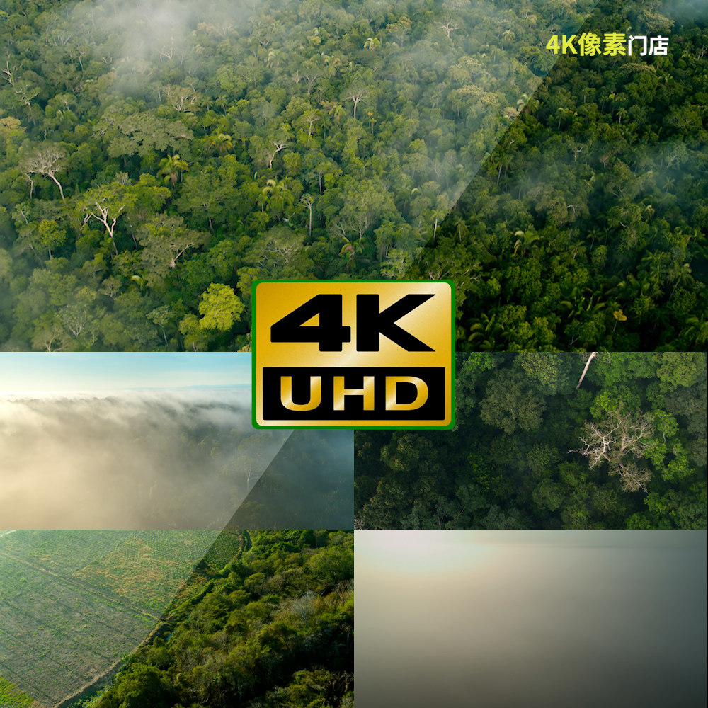 753-4k视频素材-森林野外四季雾气原始阳光生态自然航拍清晨