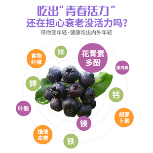 野樱莓冷冻果实酵素不老莓果黑花楸果天然稀罕水果养生营养果上市
