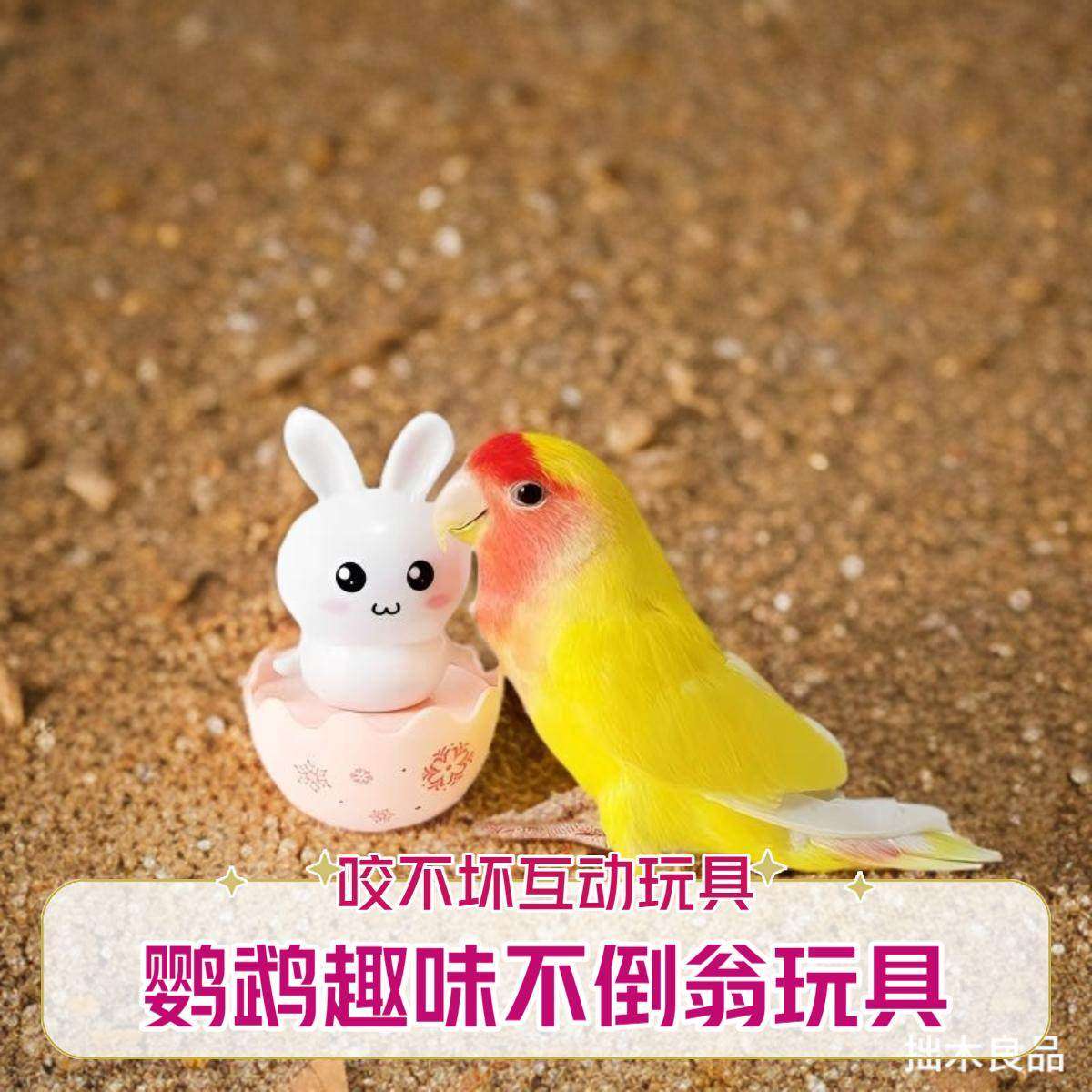 小太阳虎皮牡丹玄凤鹦鹉玩具不倒翁解闷啃咬小鸟玩具解压摇摇乐,宠物/宠物食品及用品,鸟玩具,淘宝优惠券,粉丝福利购,淘宝优惠卷