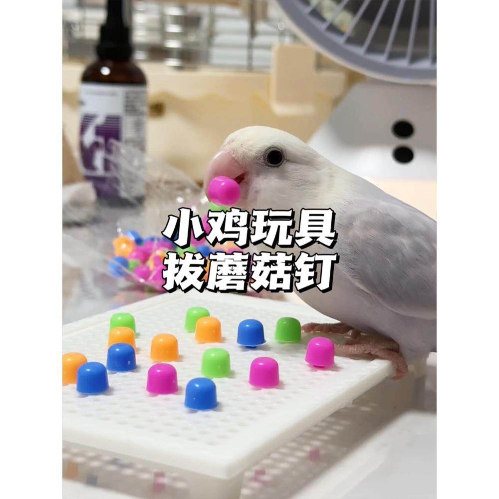 鹦鹉玩具蘑菇钉新型解闷自嗨啃咬磨牙小鸟解压益智训练小太阳玄凤,宠物/宠物食品及用品,鸟玩具,淘宝优惠券,粉丝福利购,淘宝优惠卷