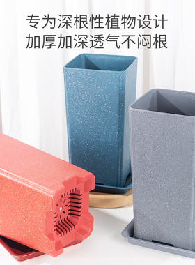 芊之岛方形北欧风高款大花盆大花蕙兰花专用简约小高方兰科塑料盆