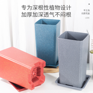 芊之岛方形北欧风高款大花盆大花蕙兰花专用简约小高方兰科塑料盆