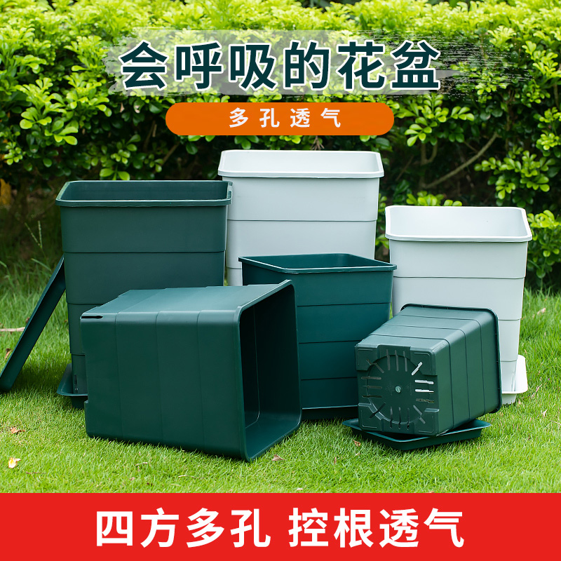 树脂控根透气青山蓝莓盆