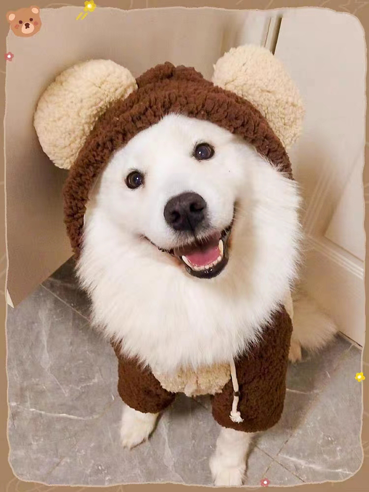 大型犬保暖、加绒保暖四脚衣便宜