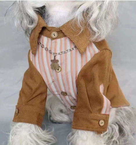 2023 Новая собачья одежда домашняя одежда для кошки осень и зимняя одежда для пуделя плюшевая одежда для кошачьей одежды Интернет знаменитость