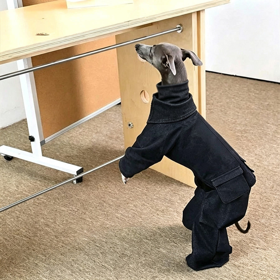 秋冬保暖网红帅气潮流四脚小灵缇衣服格力犬贝林顿狗外出牛仔衣服