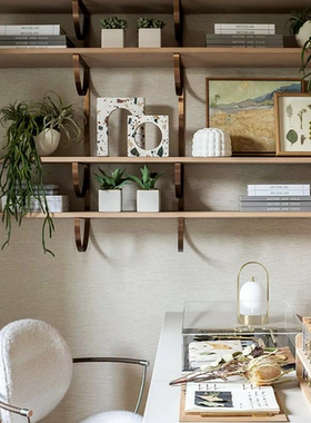 现代简约创意潮流温馨家居饰品摆件样板间阳台园艺主题标本装饰画