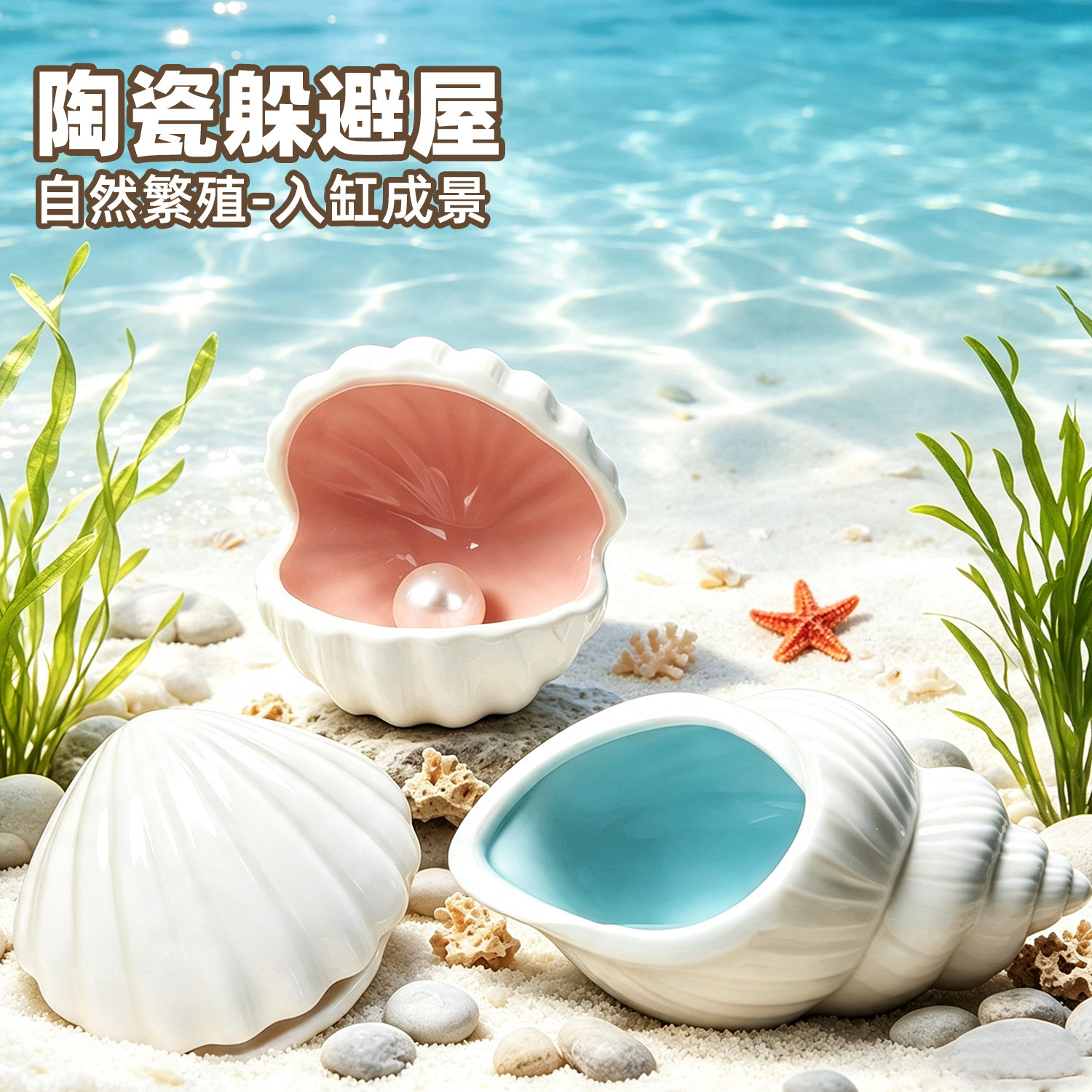贝壳陶瓷鱼缸造景躲避屋虾窝繁殖