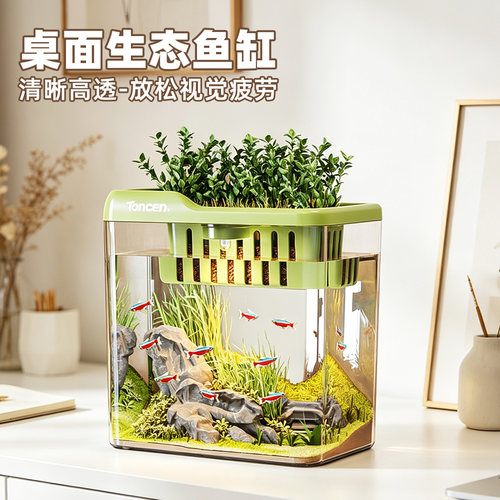 桌面小型透明生态鱼缸造景斗鱼箱