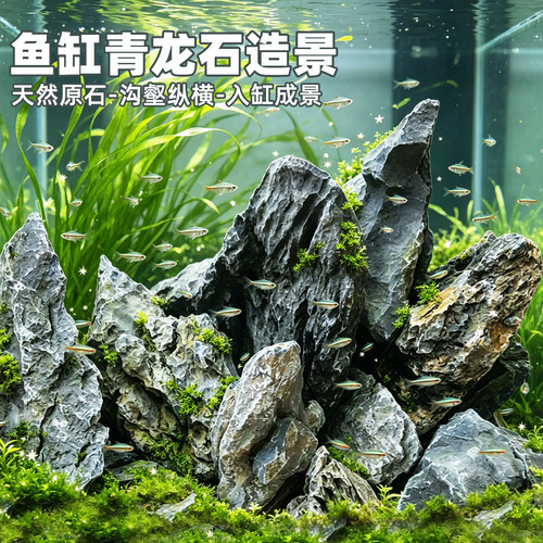青龙石鱼缸假山造景小虾窝躲避屋
