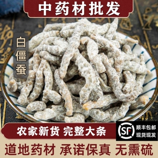 白僵蚕中药材野生僵蚕粉白僵虫天虫姜蚕干货炒熟正品七子白500g
