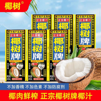 椰树牌正宗椰汁245ml盒装海南特产椰子汁水椰奶整箱植物蛋白饮料