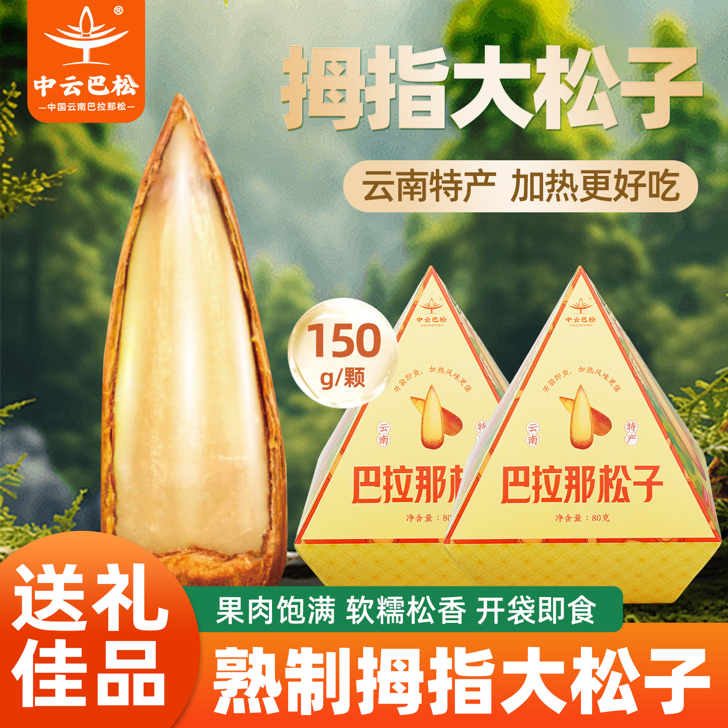 中云巴松巴拉那松子云南特产正宗原味熟制拇指大松子开口手剥盒装,零食/坚果/特产,东北松子,淘宝优惠券,粉丝福利购,淘宝优惠卷