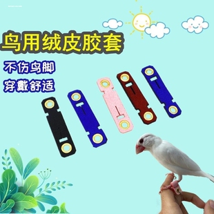 鸟用牛皮脚环脚套牛皮八哥伯劳脚环红嘴秃鼻大嘴鹩哥牛皮乌鸦脚链