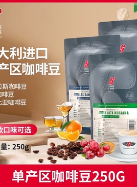 艾瑟ESSSE 意大利进口咖啡豆单产区巴西哥伦比亚洪都拉斯250g