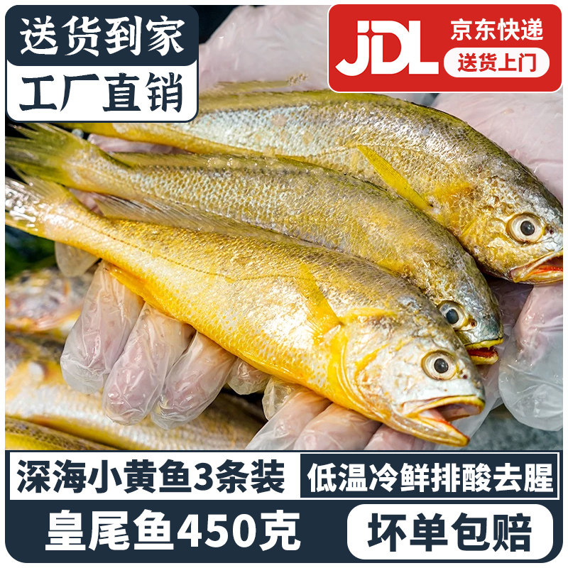 野生小黄鱼京东包邮海捕黄花鱼新鲜冷冻东海黄鱼鲜活海鲜非大黄鱼
