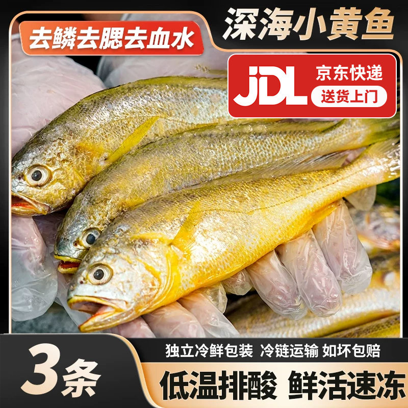3条深海小黄鱼京东包邮野生海捕黄花鱼新鲜冷冻东海黄鱼鲜活海鲜