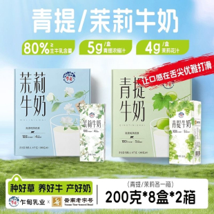 乍甸青提茉莉花香味甜牛奶200g*8盒*2箱含乳饮料儿童早餐奶礼盒装