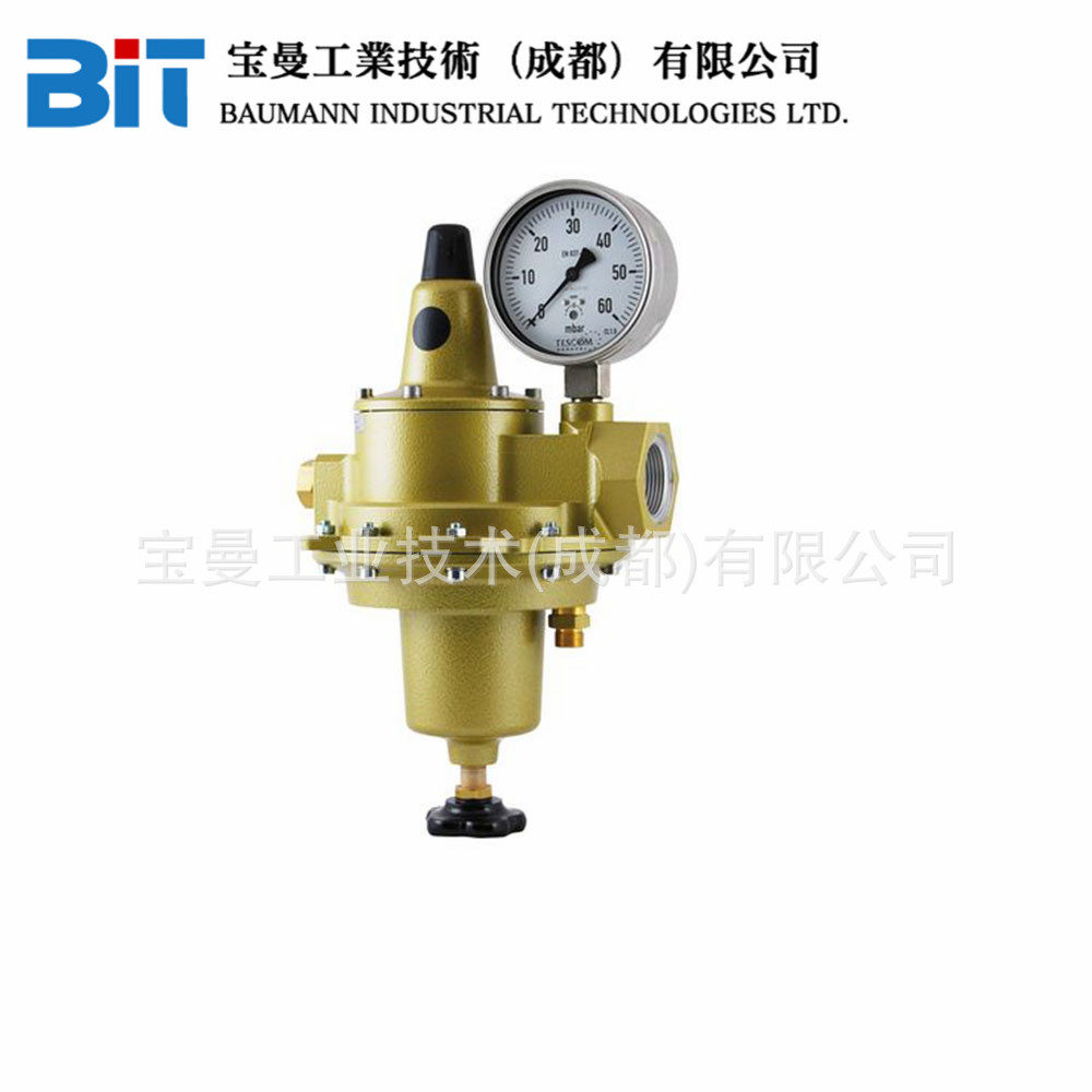 TESCOM美国艾默生雷古勒斯4双级稳压器Regulus 4双级减压器溢流阀