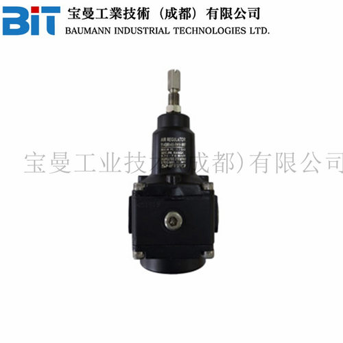 11-4SNR印度Shavo精密过滤减压阀压力调节器G1/2铝合金铸体SS316L