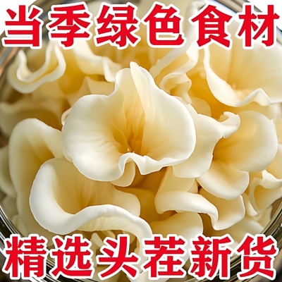长白山白玉木耳东北特产干货特级新货非野生家商用银耳官方旗舰店