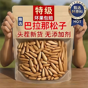 云南特产巴拉那松子拇指大野生新鲜松果坚果零食盒装孕妇儿童可食