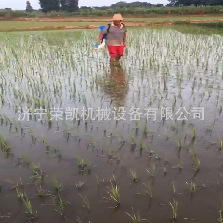 背负式电动撒肥机 水稻背负式撒肥机价格图片 电动撒肥机施肥器