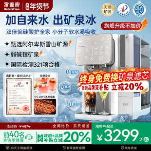 家里泉阿尔卑斯冰块矿泉机制冰饮水一体净饮机即热式饮水机净水器