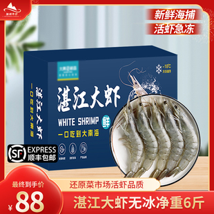 湛江大虾鲜活速冻白对虾海捕特大基围虾海鲜水产北海大虾海虾虾类