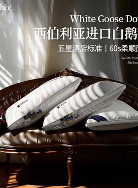 德国双层护颈枕头护颈椎助睡眠成人颈椎支撑专用枕优质白鹅绒枕芯