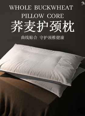 德国荞麦护颈枕成人颈椎专用枕头护颈椎助睡眠全荞麦壳分区颈椎枕