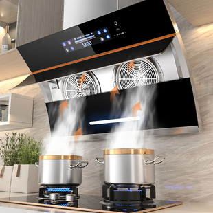 新飞双电机油烟机厨房家用吸油烟机侧吸大吸力小型租房抽油烟机