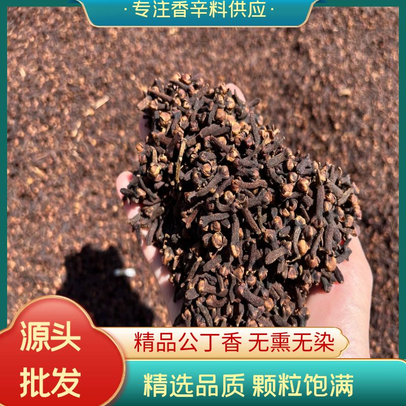 大红丁香广西家用干货公丁香丁子香南天香料卤肉卤料大料