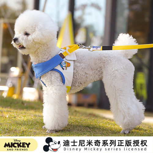 小狗狗绳牵引绳小型犬胸背