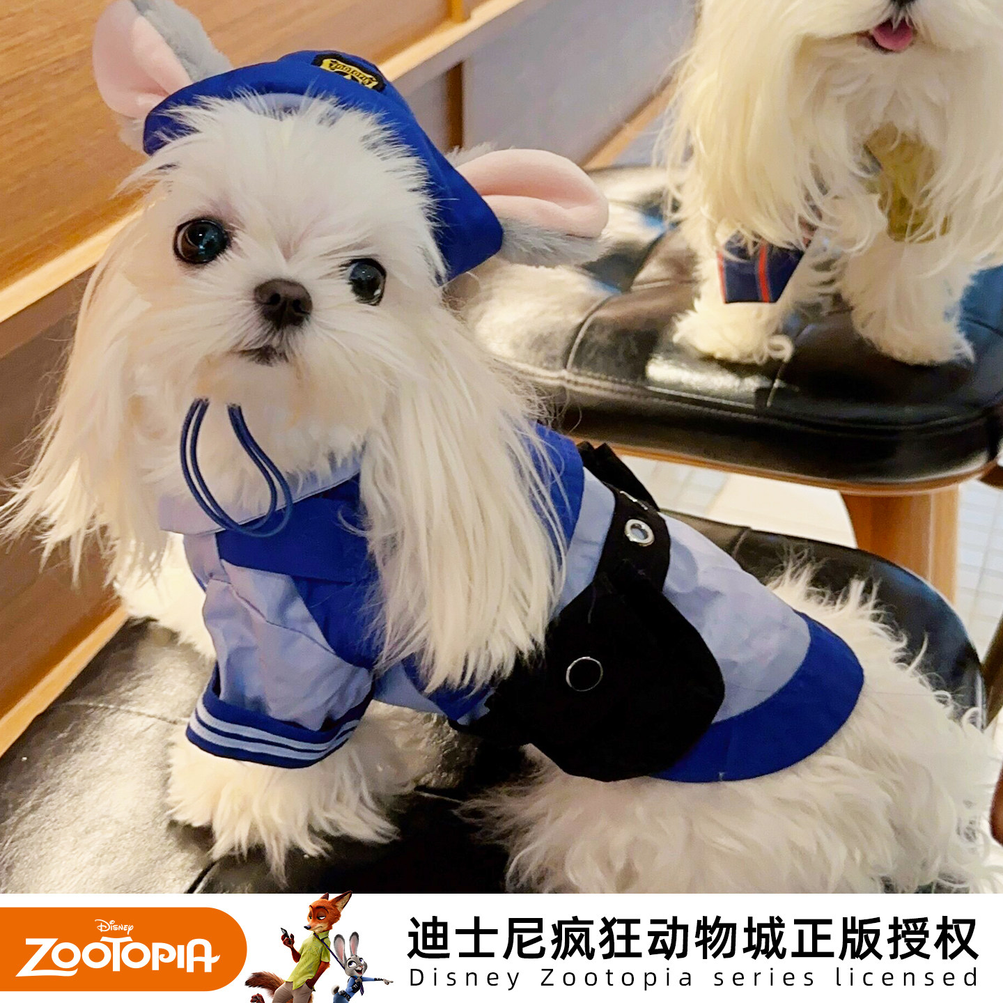 迪士尼疯狂动物城猫咪衣服朱迪兔子警官cos服狗狗可爱帽子装饰