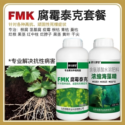 腐霉泰克套餐专用黄叶烂叶专用肥料科技方便喷施种植专治农业产品