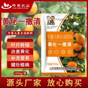 正品黄化一撒清柑橘果树黄叶转绿增强树势改善黄化通用中量元素肥