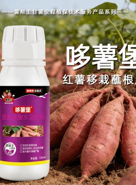 薯帮主红薯快速生根膨大叶面肥