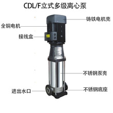 直水泵CDLF30不锈钢 多级离心泵40L厂家8供管道 增压生活CD供立式